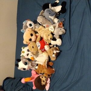 Beanie Baby Plushie Pack